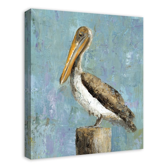 Painted Pelican Canvas Wall Art